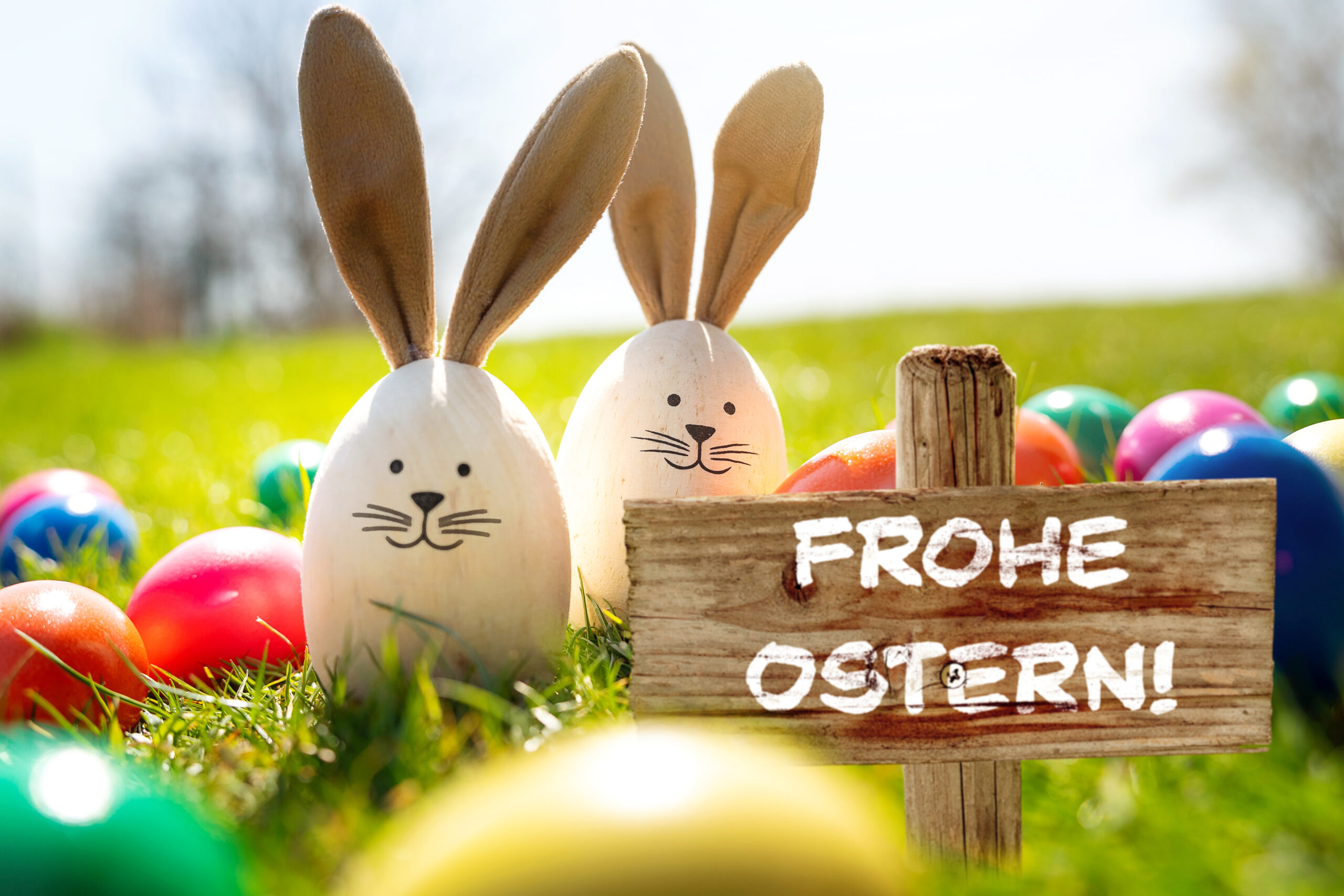Germany - April 13, 2025: PHOTOMONTAGE, wooden sign with the inscription: Happy Easter! in front of two Easter bunny decoration eggs in the middle of colorful Easter eggs on a meadow *** FOTOMONTAGE, Holzschild mit der Aufschrift: Frohe Ostern! vor zwei Osterhasen-Dekoeiern inmitten bunter Ostereier auf einer Wiese